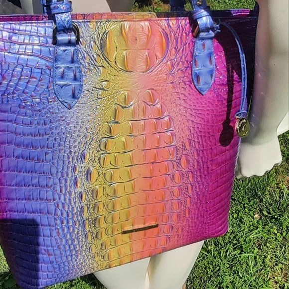NWT Brahmin Ellen tote magic ombre